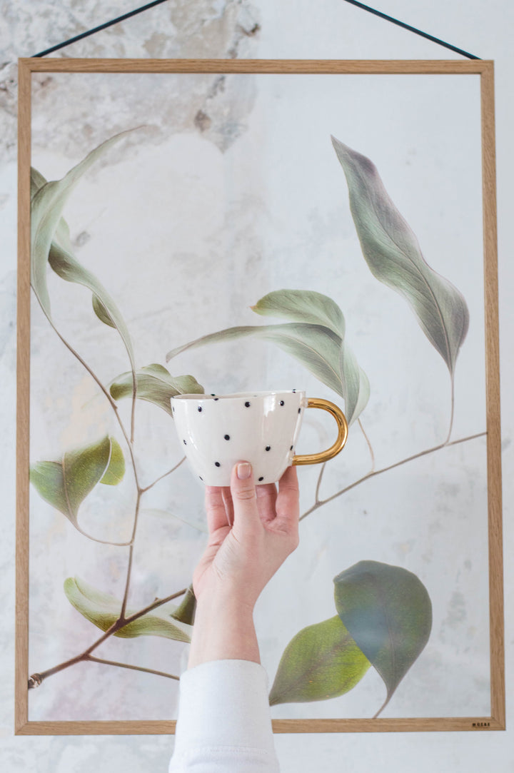 Chia Cup No.21