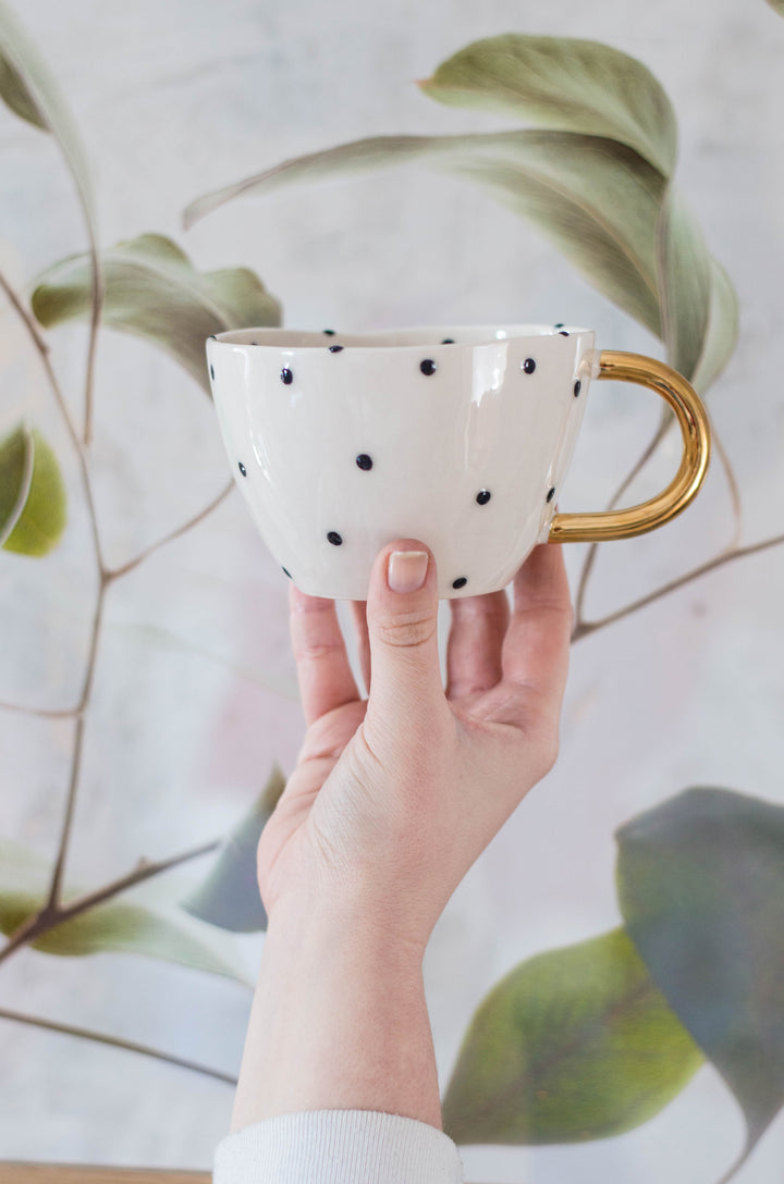Chia Cup No.21